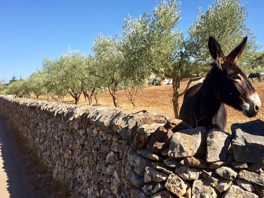 Trullo Rosy Villa Martina Franca Exterior photo